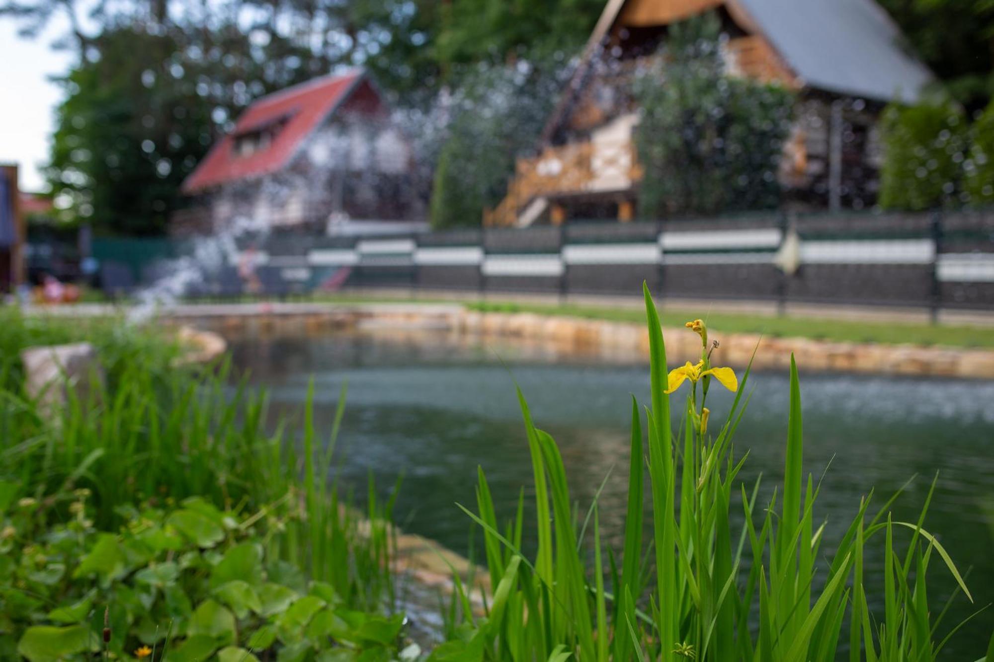 Ziemia-Ogien Apartamenty Mazurska Kraina Narie Bogaczewo  ภายนอก รูปภาพ
